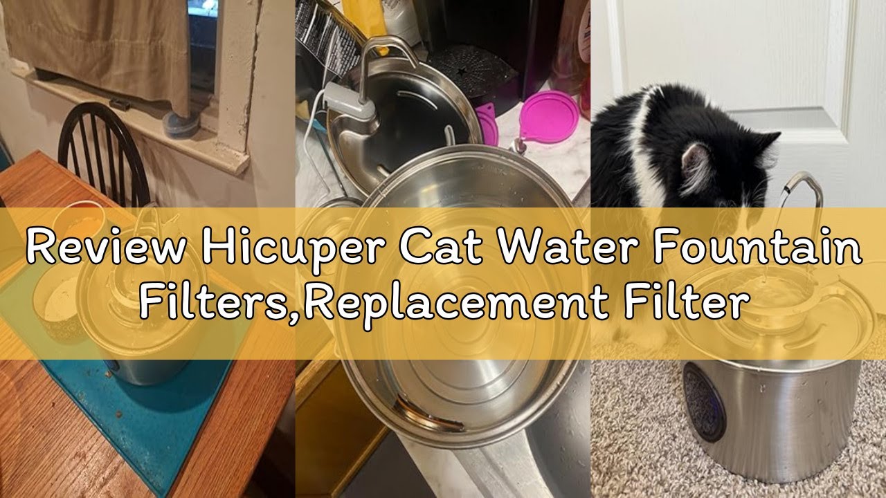 Review Hicuper Cat Water Fountain Filters,Replacement Filter for 108oz/3.2L Cat Fountain,10 Packs Fi
