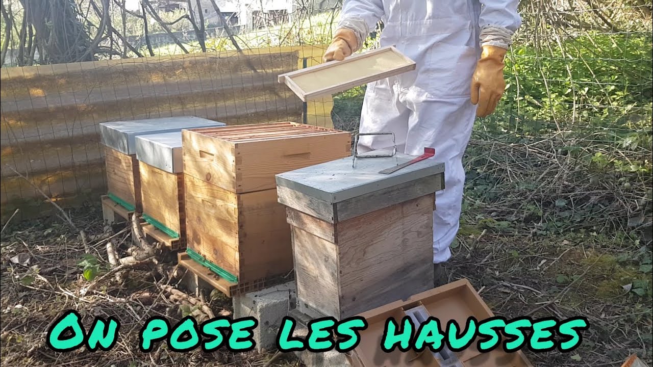 #52 On pose les hausses, pour faire de la place