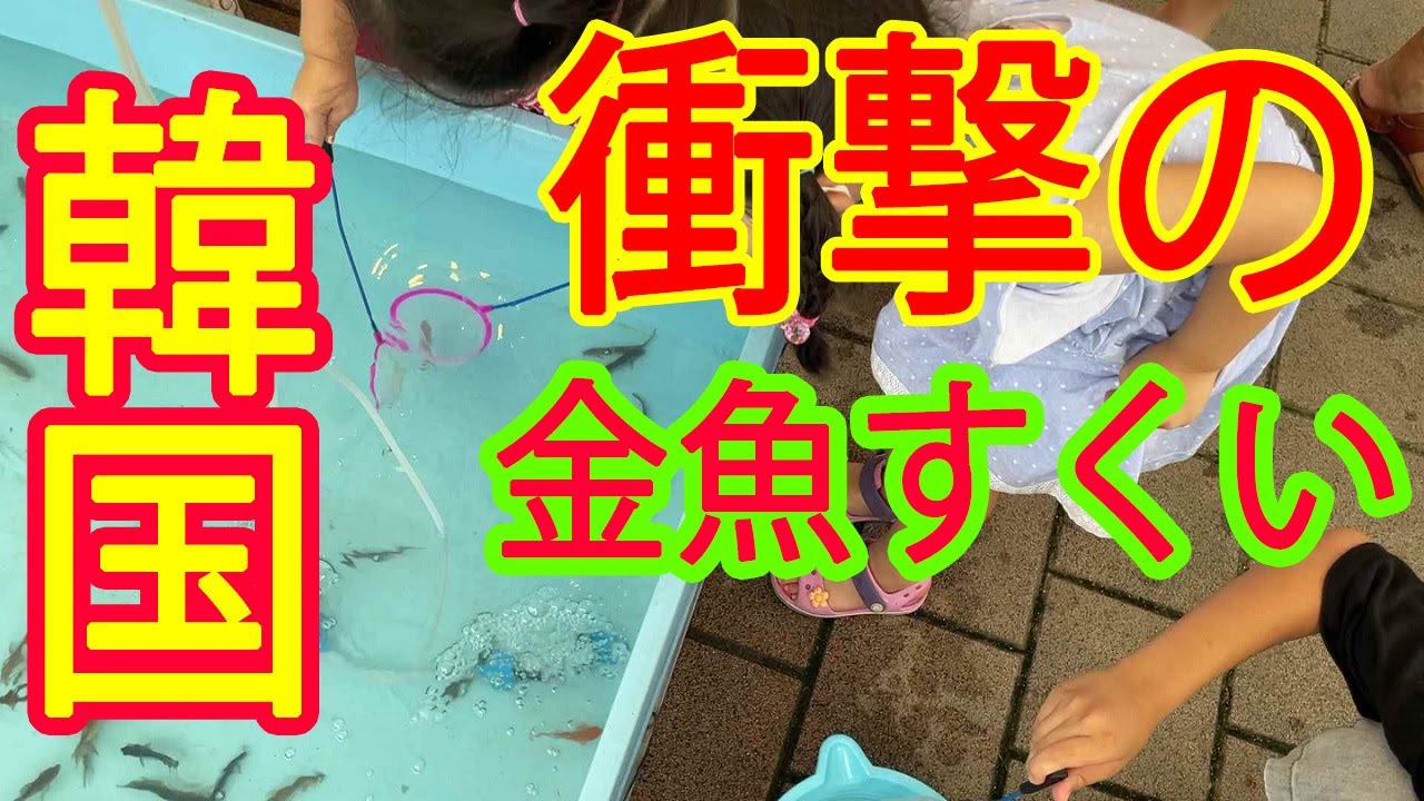 韓国の金魚すくい　一部ショッキングな映像があります。