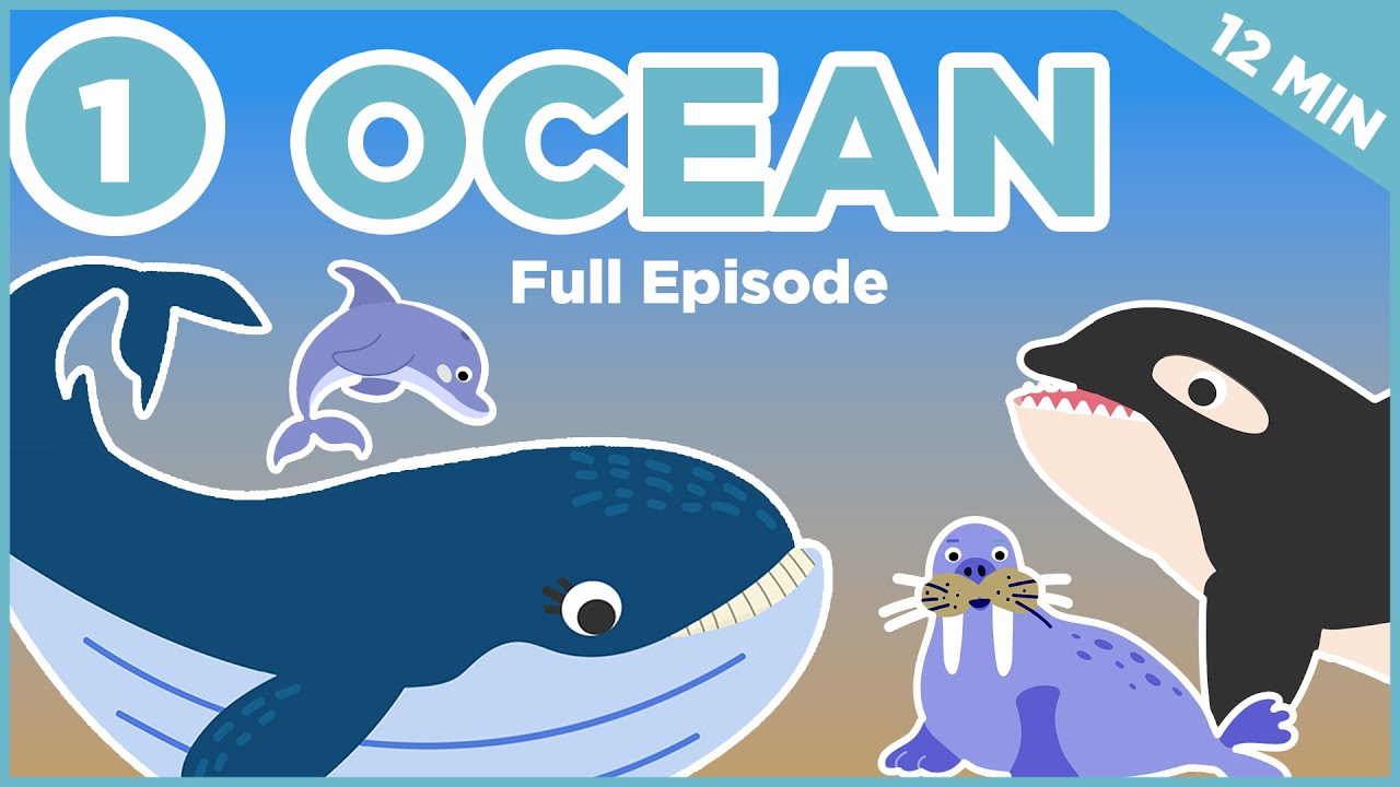 🌊🐠 Ocean - Episode 1 - Quest Adventure Kids 🦑🎶
