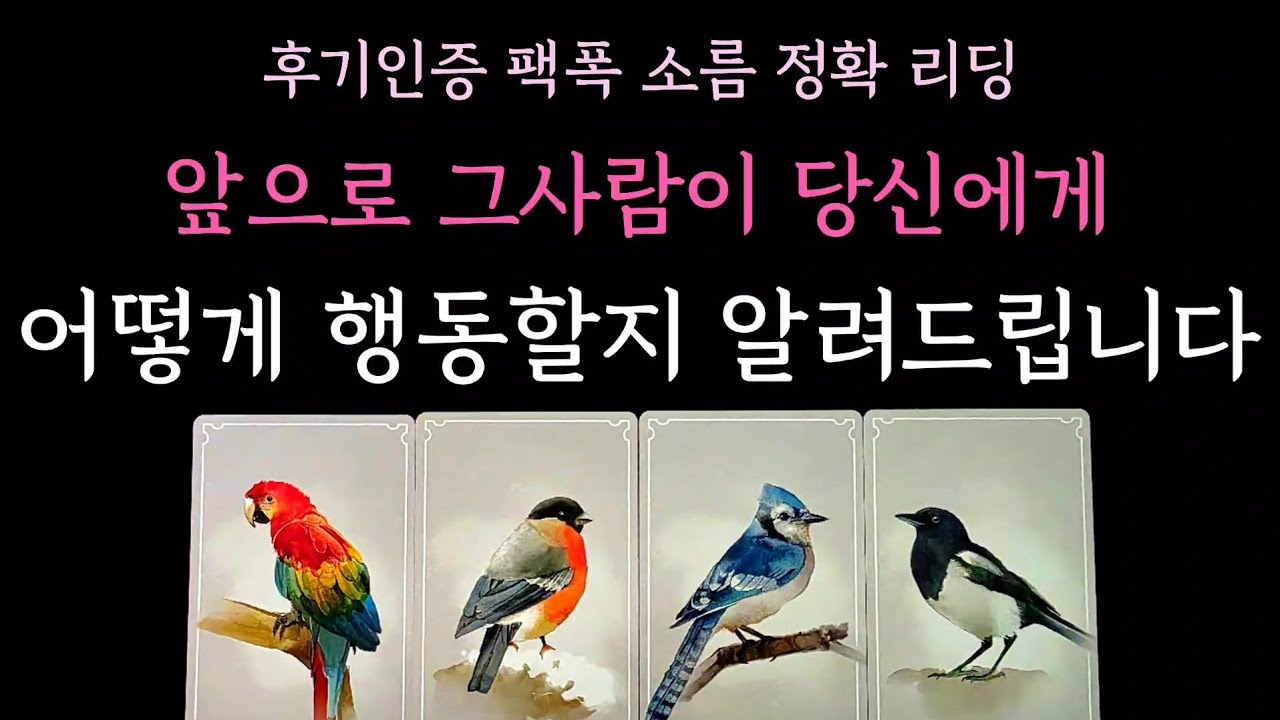 [다복 타로] 후기인증 팩폭 소름 정확 리딩✨️ 앞으로 그사람이 당신에게 어떻게 행동할지 알려드립니다