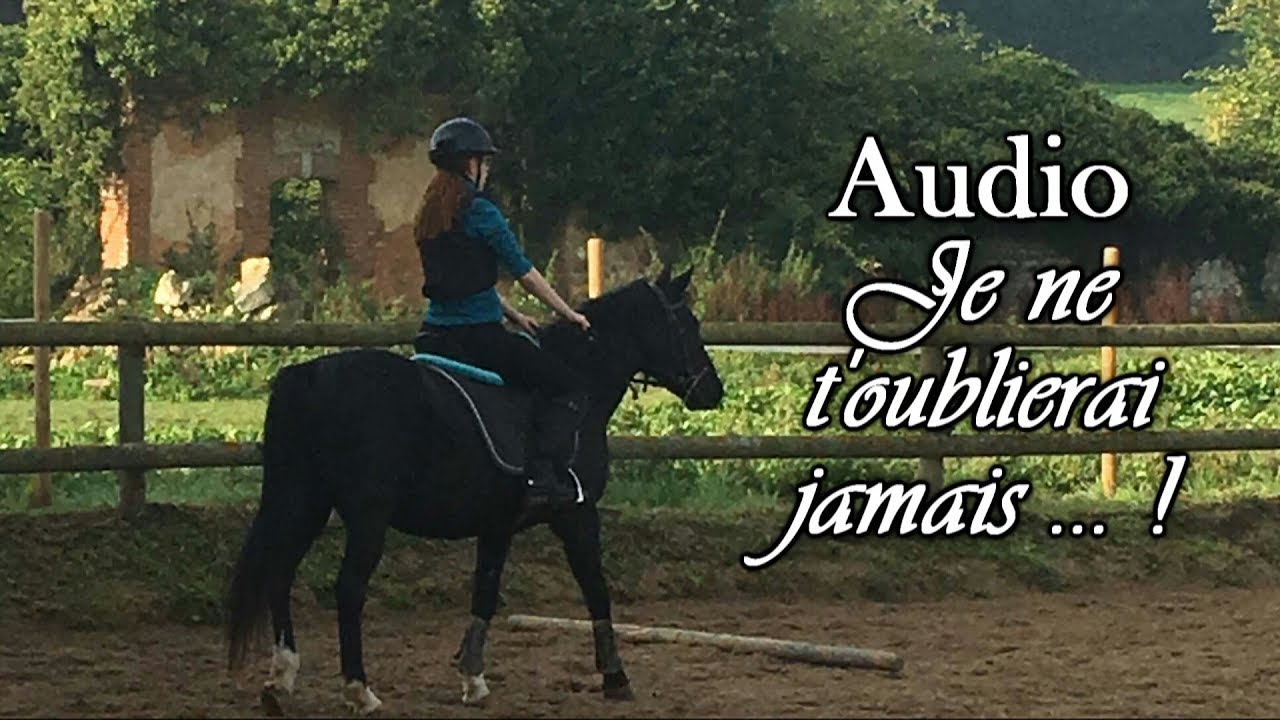[AUDIO] Je ne t'oublierai jamais !
