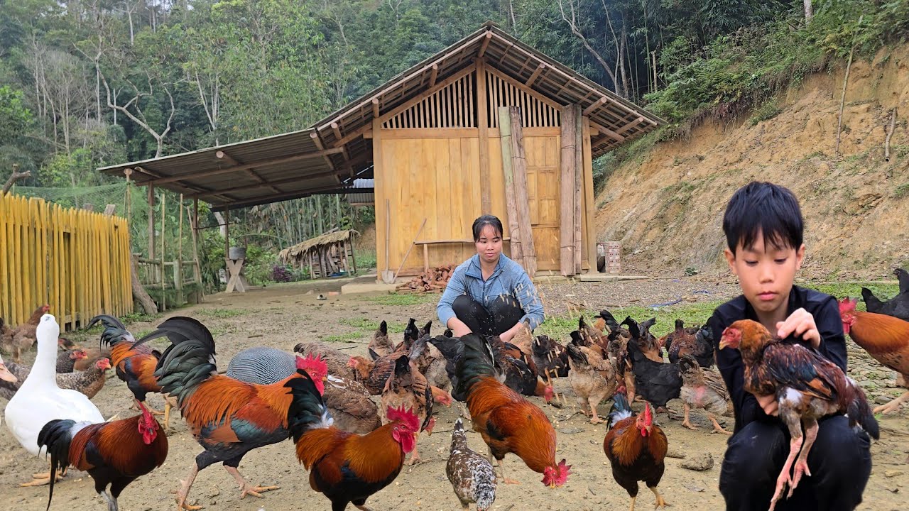 The woman takes care of the chickens and plows the land to plant corn.