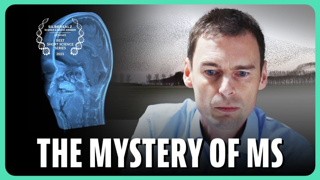 The Mystery of MS: De Onvermoeibare Zoektocht Naar Genezing