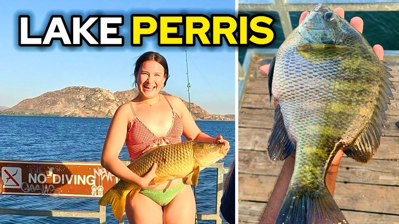 Big Bluegill, Carp & Catfish Catch and Cook | Epic Lake Perris Fishing Adventure!