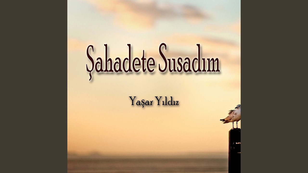 Bacımın Örtüsü
