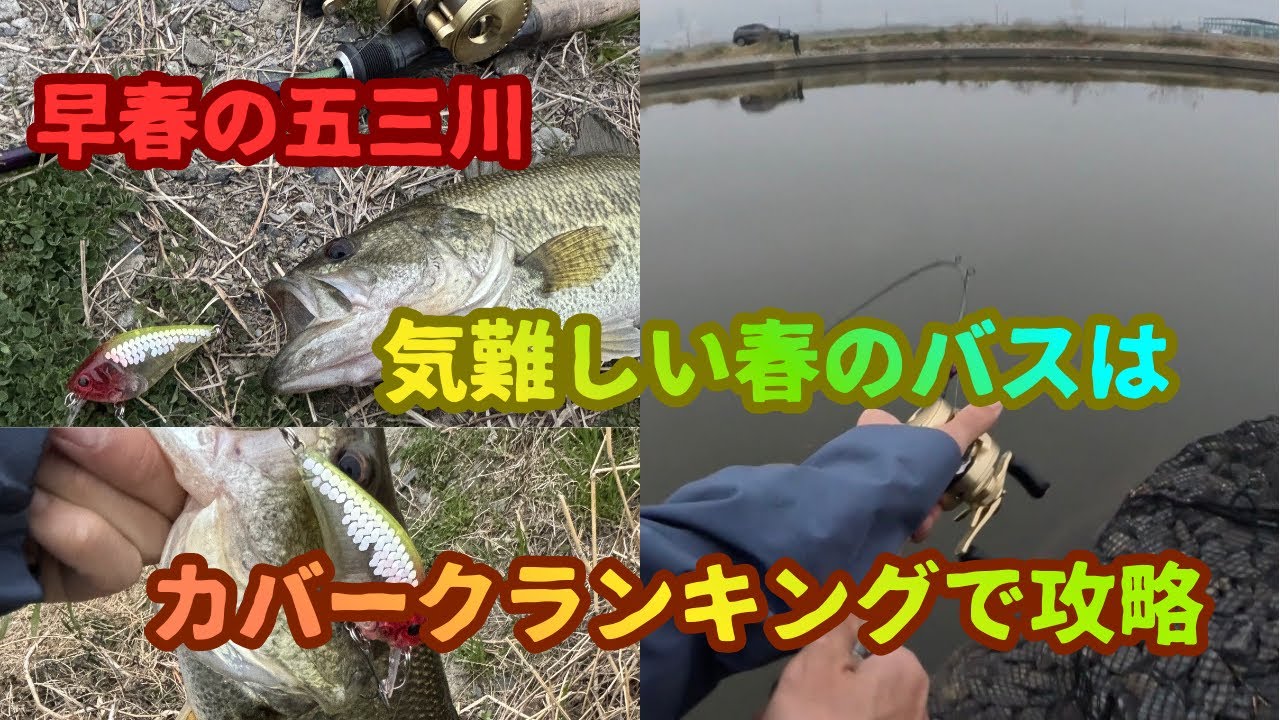 【3月の五三川】カバー回避特化型クランクベイトでカバーを擦りまくる　の巻