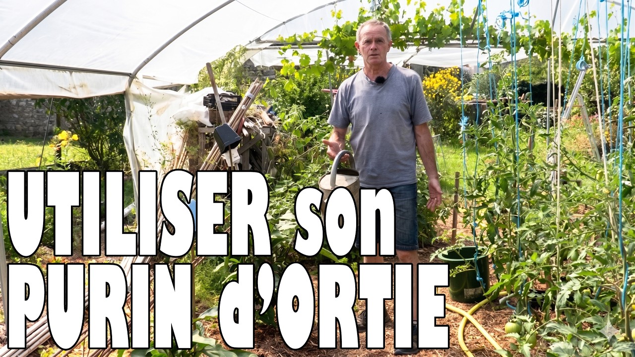 Comment UTILISER le PURIN d'ORTIE ?