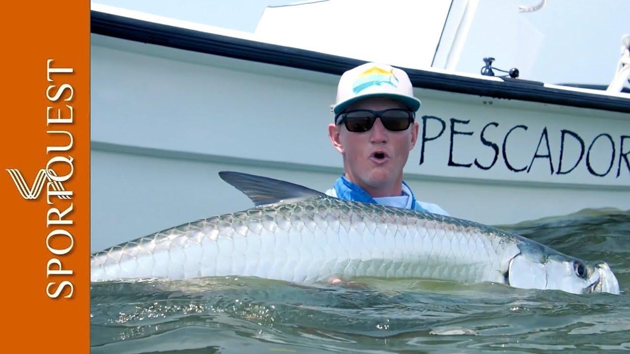 Fly Fishing For Tarpon & Permit at El Pescador Lodge, Belize