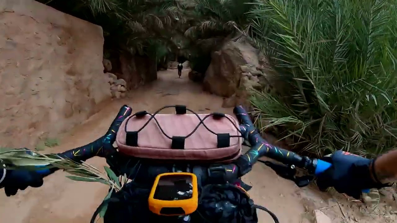 Aguinane Oasis
