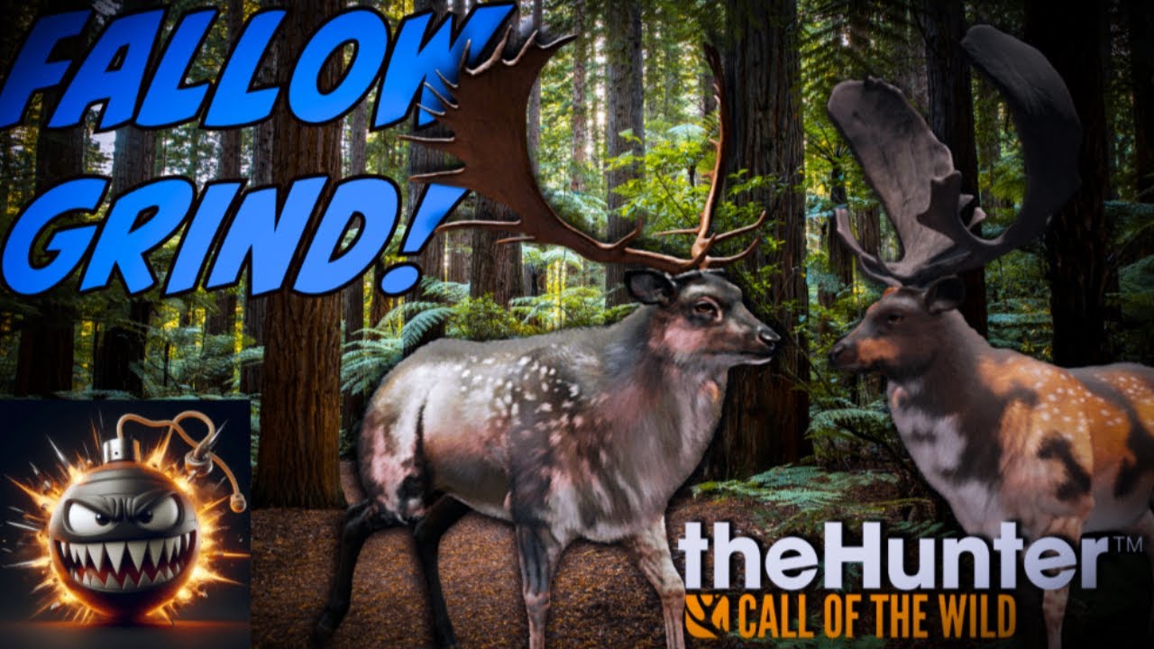 Fallow Deer Grinding 950  kills in!!! The Hunter: call of the wild