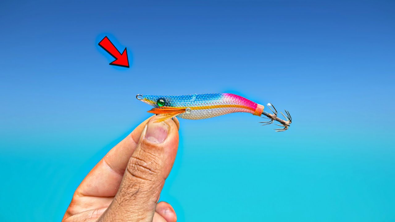How To Catch Squid In Sydney Harbour!