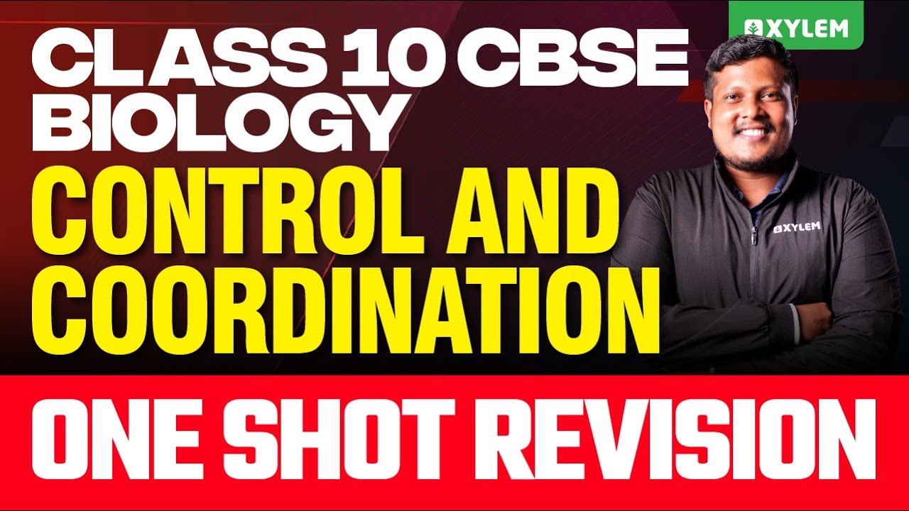 Class 10 CBSE Biology | Control and Coordination | One Shot Revision | Xylem Class 10 CBSE