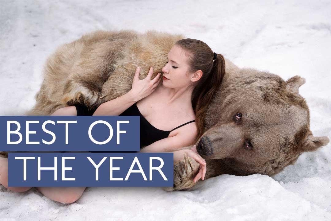 Best Videos Of The Year Compilation | Caters TV