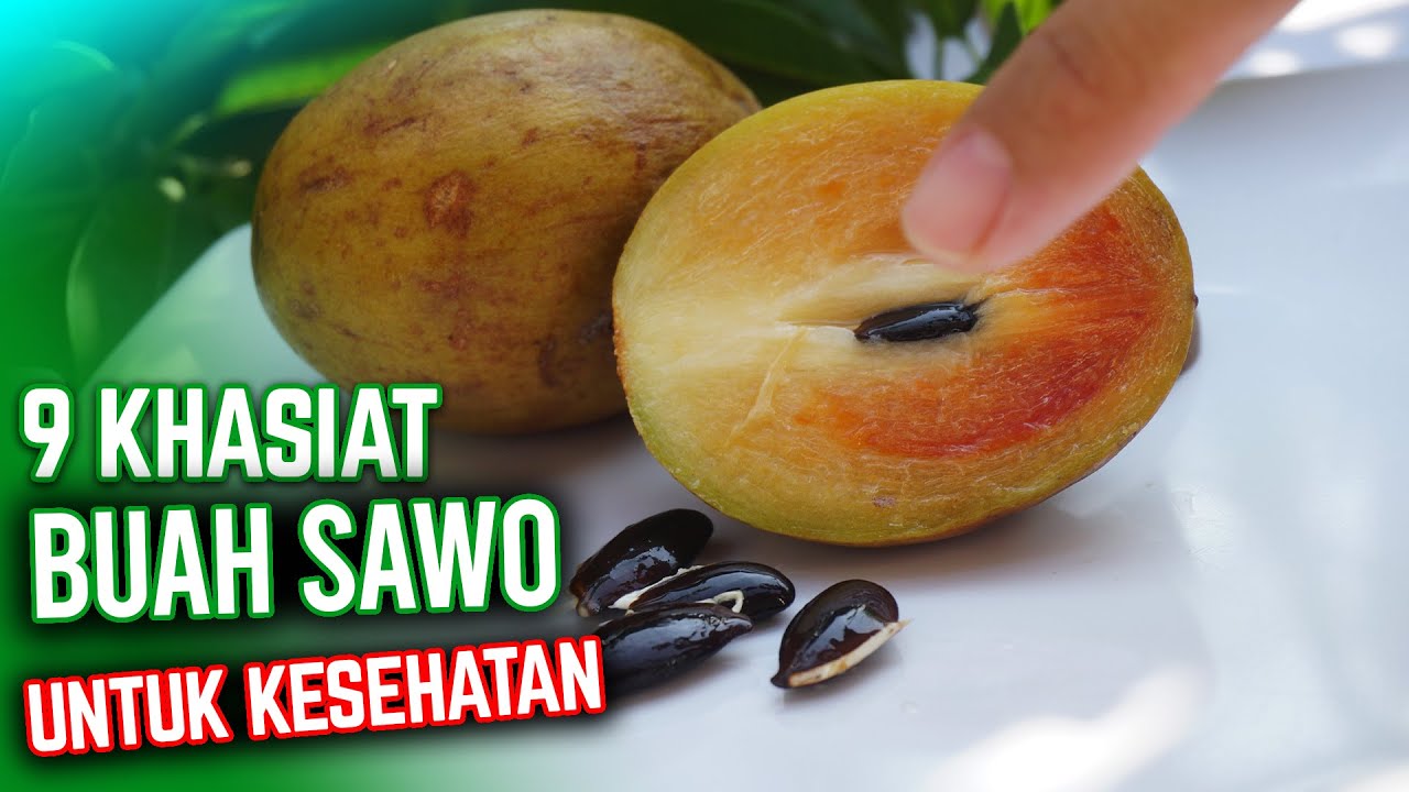 INI 9 MANFAAT BUAH SAWO YG JARANG DIKETAHUI