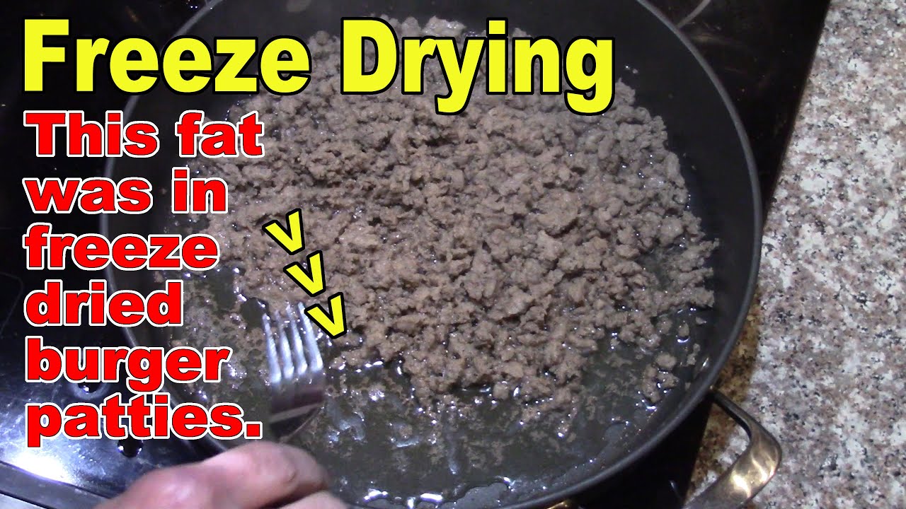 Putting Lots Of Fat In The Freeze Dryer. A LOT! --  Responding to Anti Fat Comments