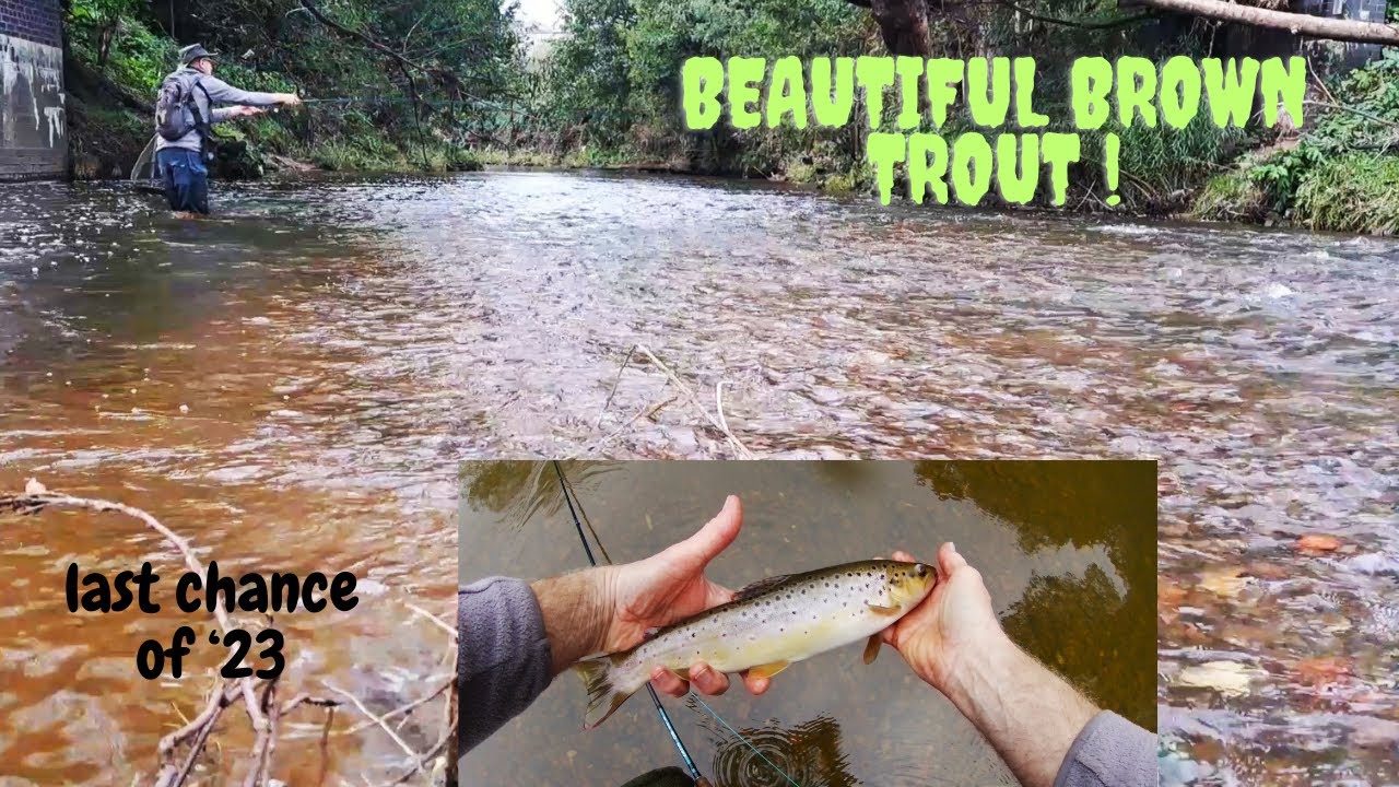 MORE THRILLS !! end of '23 trout season. Part 2 Ullswater and the River Darwen.