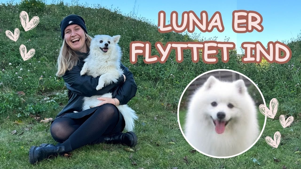 Vi har fået HUND // Luna er flyttet ind.