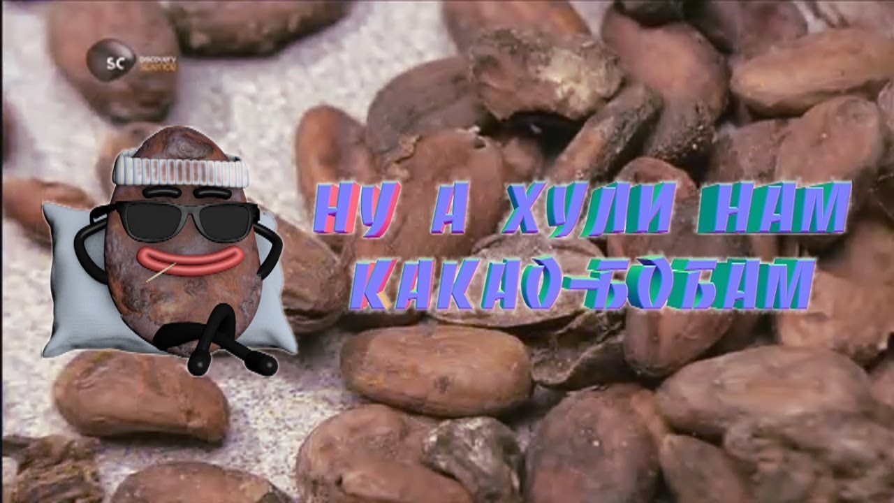 Важные какао-бобы
