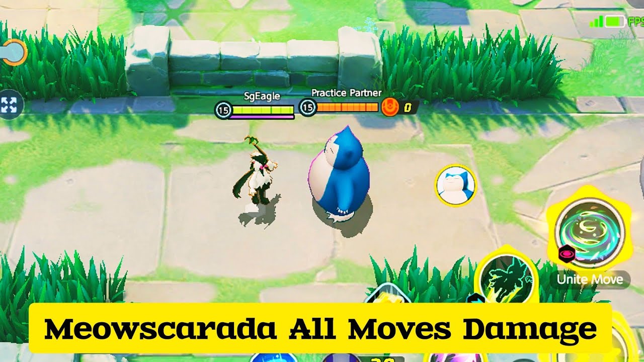 Meowscarada All Moves Damage !