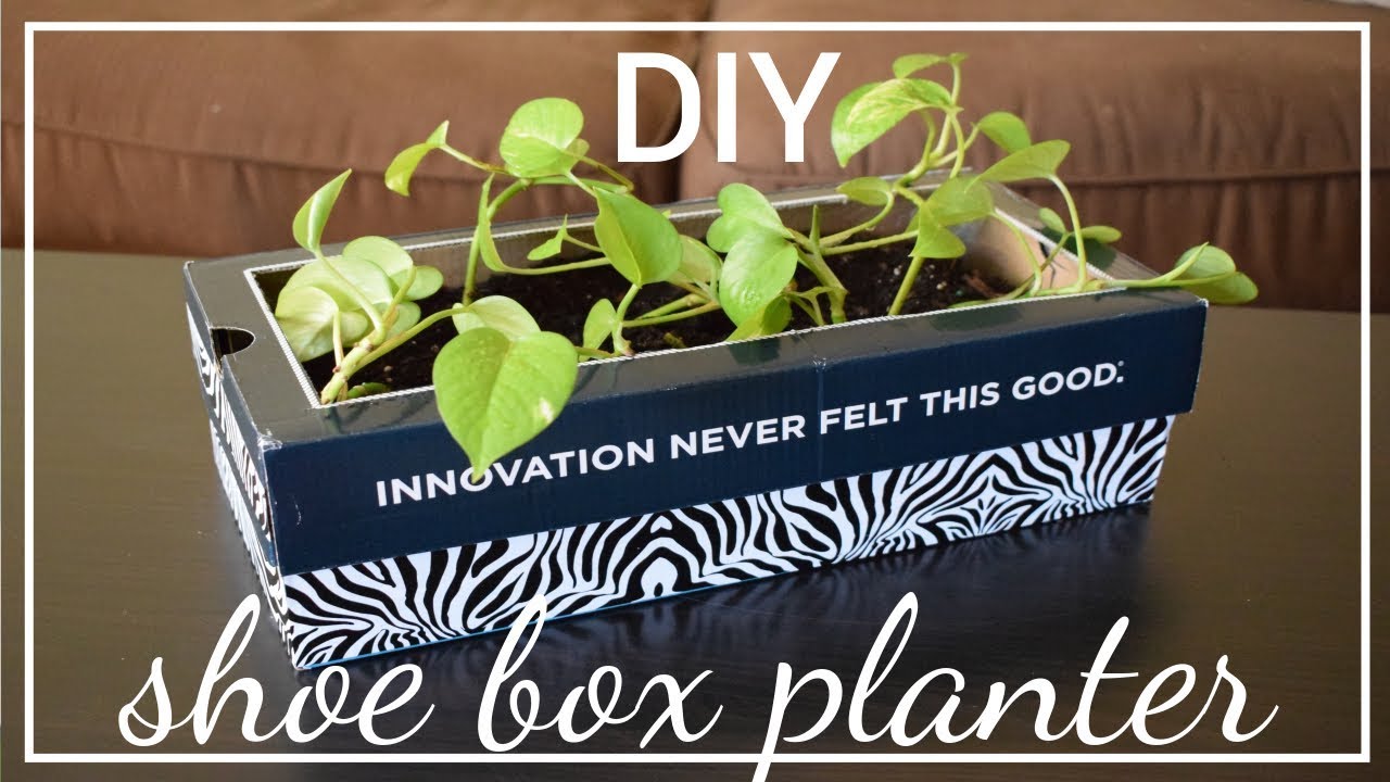 DIY: Cardboard Box gardening home decor| Recycle shoe box | Super cheap & better garden !