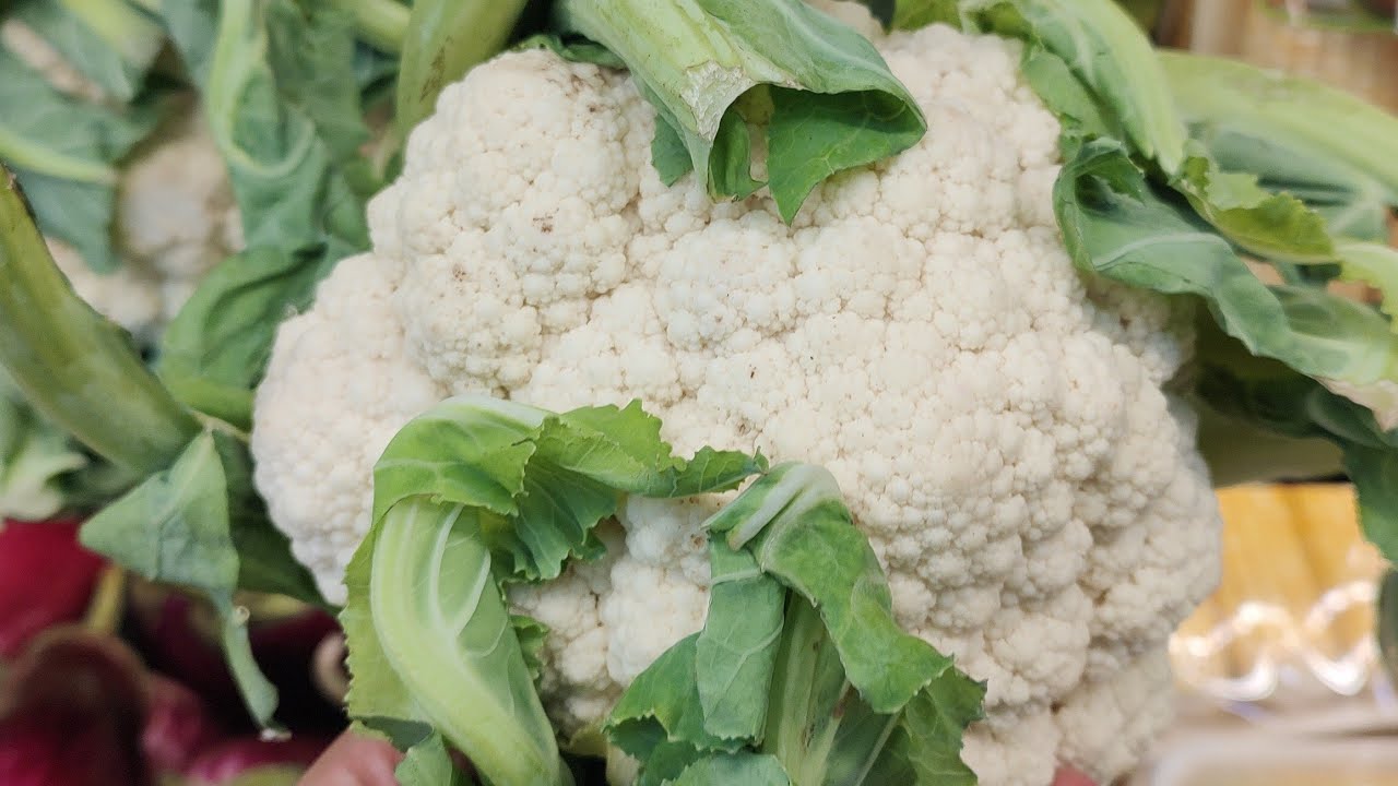 Cultivo de Coliflor en Macetas