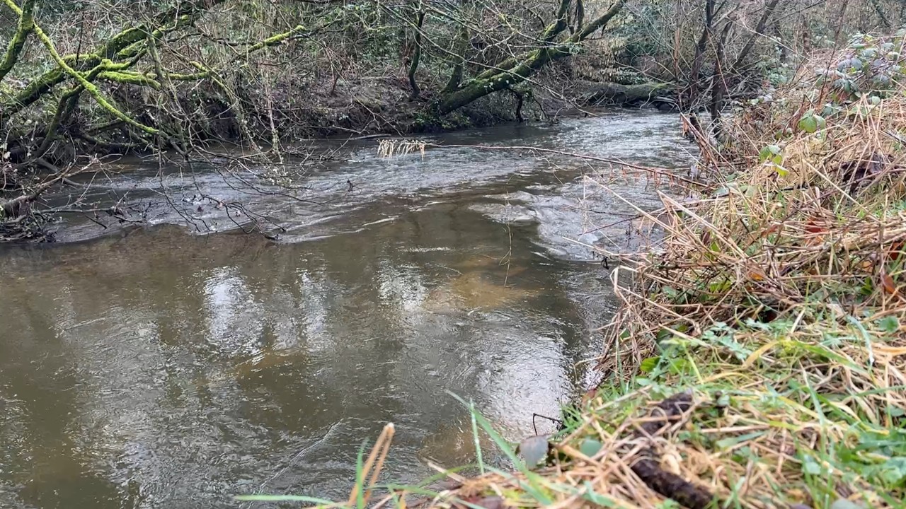 By the River: Flowing (30 Minutes)