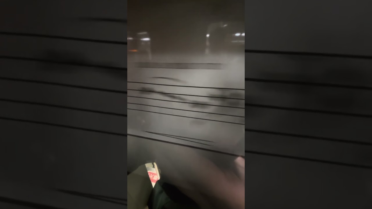 忠孝新生站到中山國小站