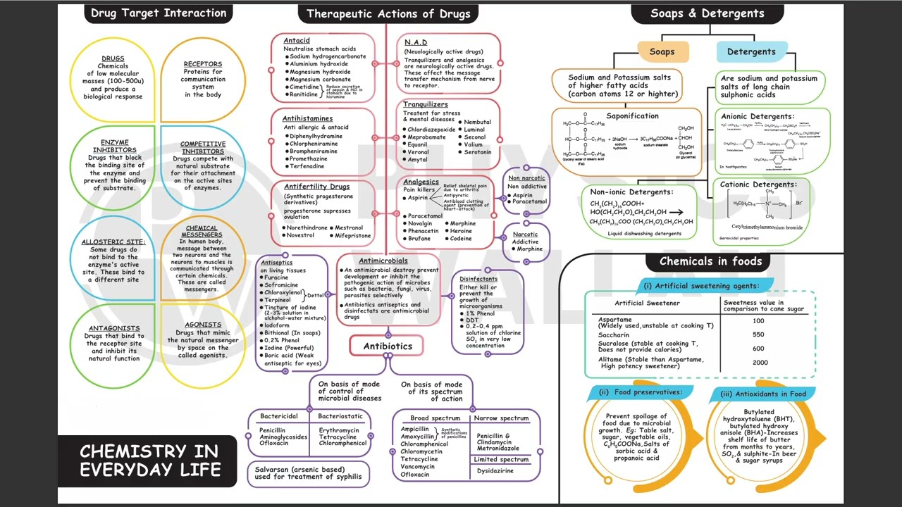 CHEMISTRY IN EVERYDAY LIFE Mind Map