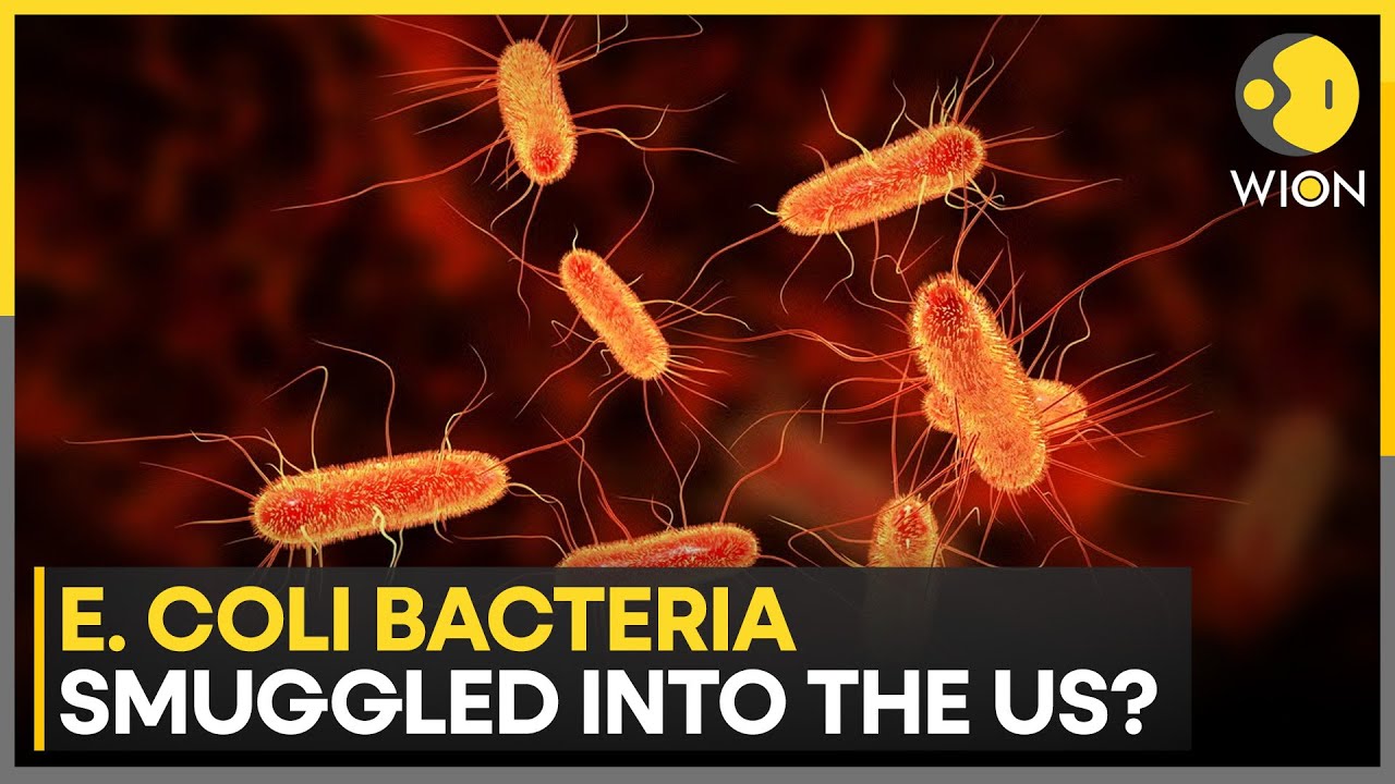 Chinese Researcher Charged With Smuggling E. coli Into US, FBI Says | WION