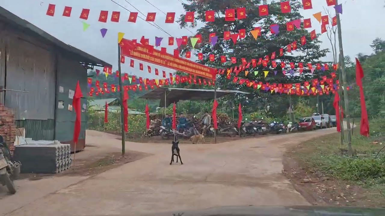 Dự Lễ Hội 