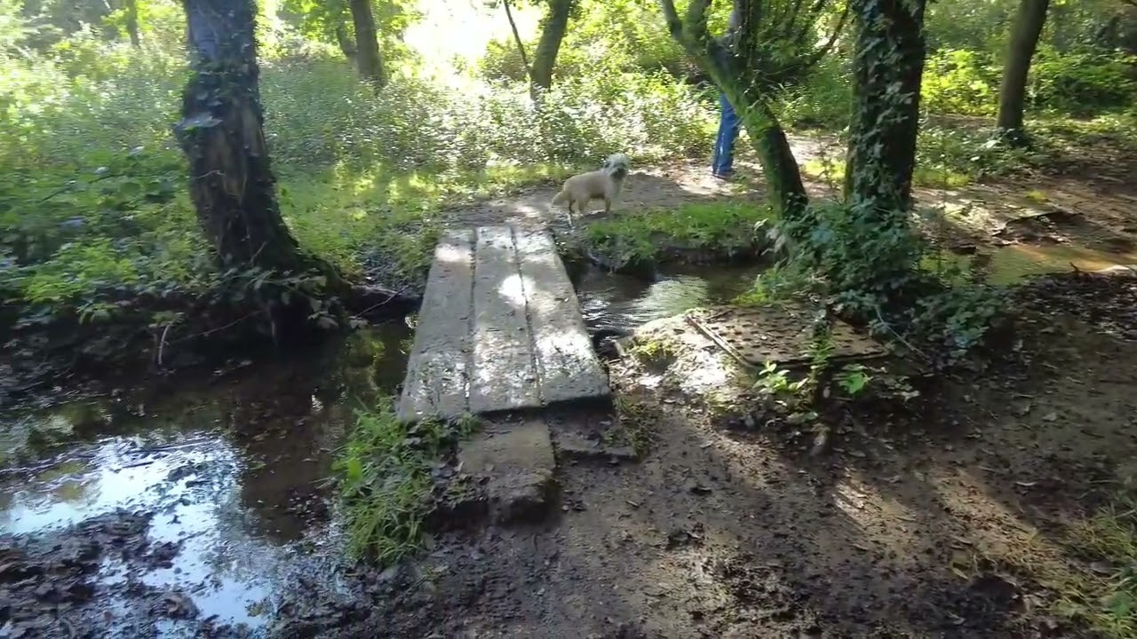 Shamanic Earthwalk at Autumn Equinox