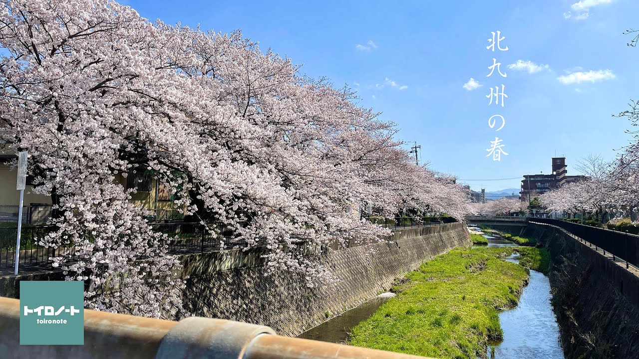 北九州の春を歩く（桜2021）