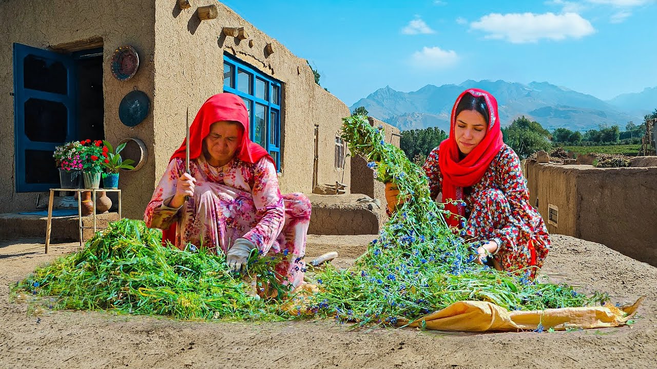 Cooking Afghan Potato Samosas After a Day in the Fields — Life in Bamyan