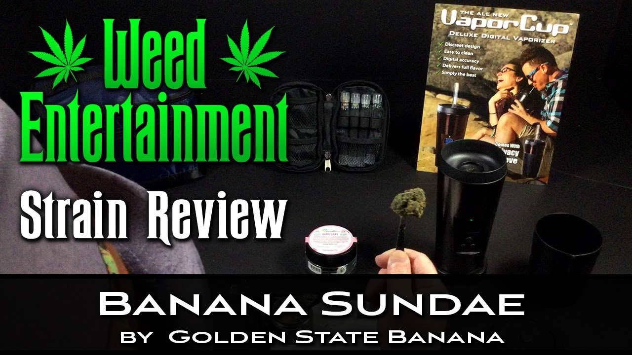 Banana Sundae - Sativa Hybrid - by Golden State Banana - Strain Review -  Greenthumbs, Sylmar Ca