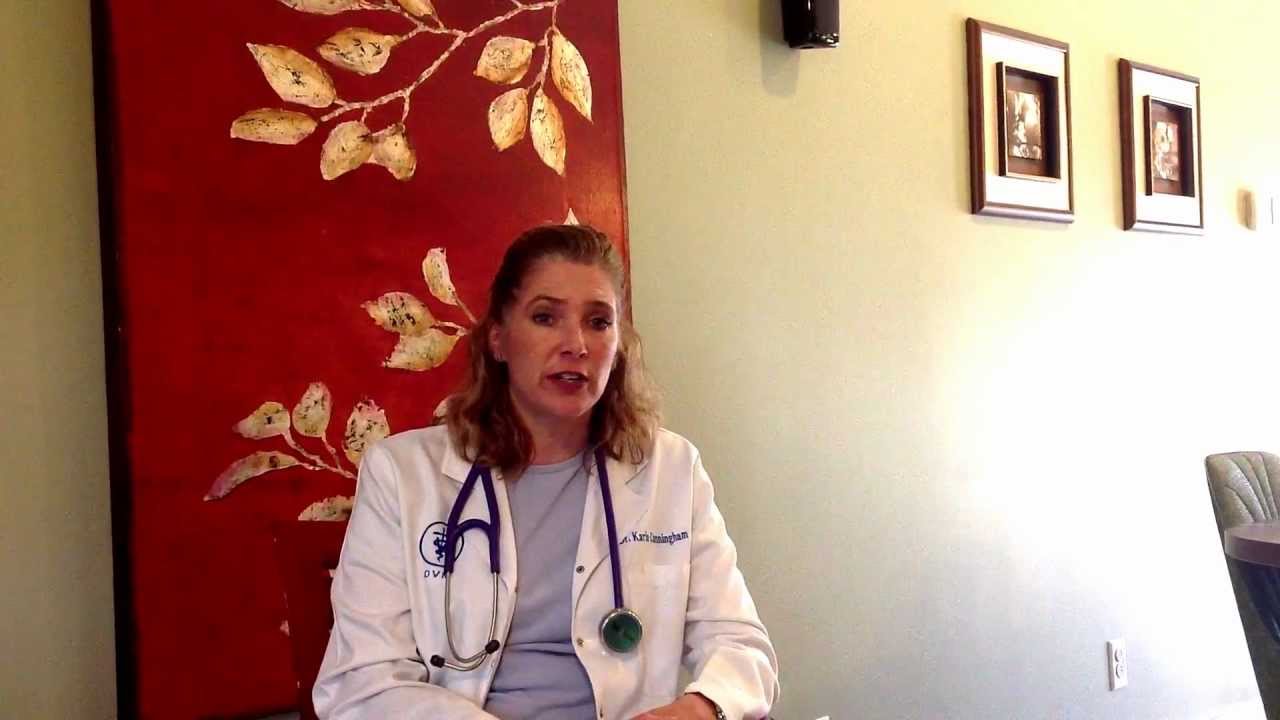 Dr. Karla talks about the importance of healthy teeth for your pet!
