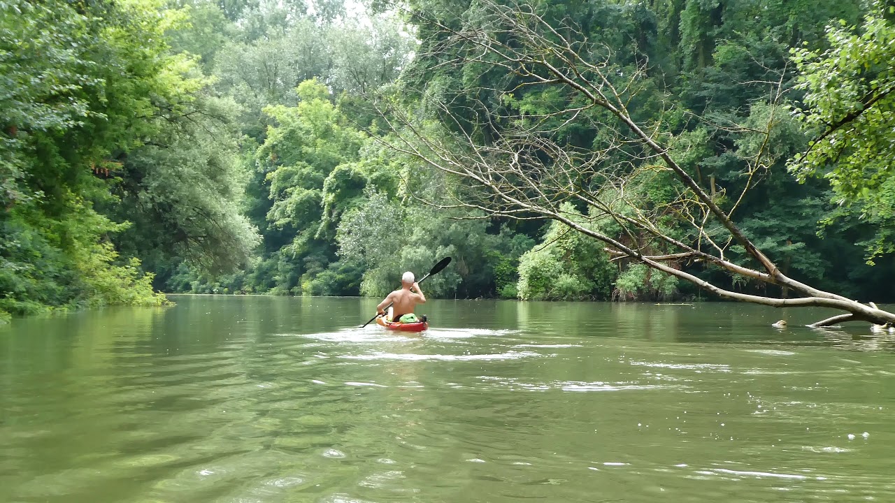 tiszató 2018 07 22