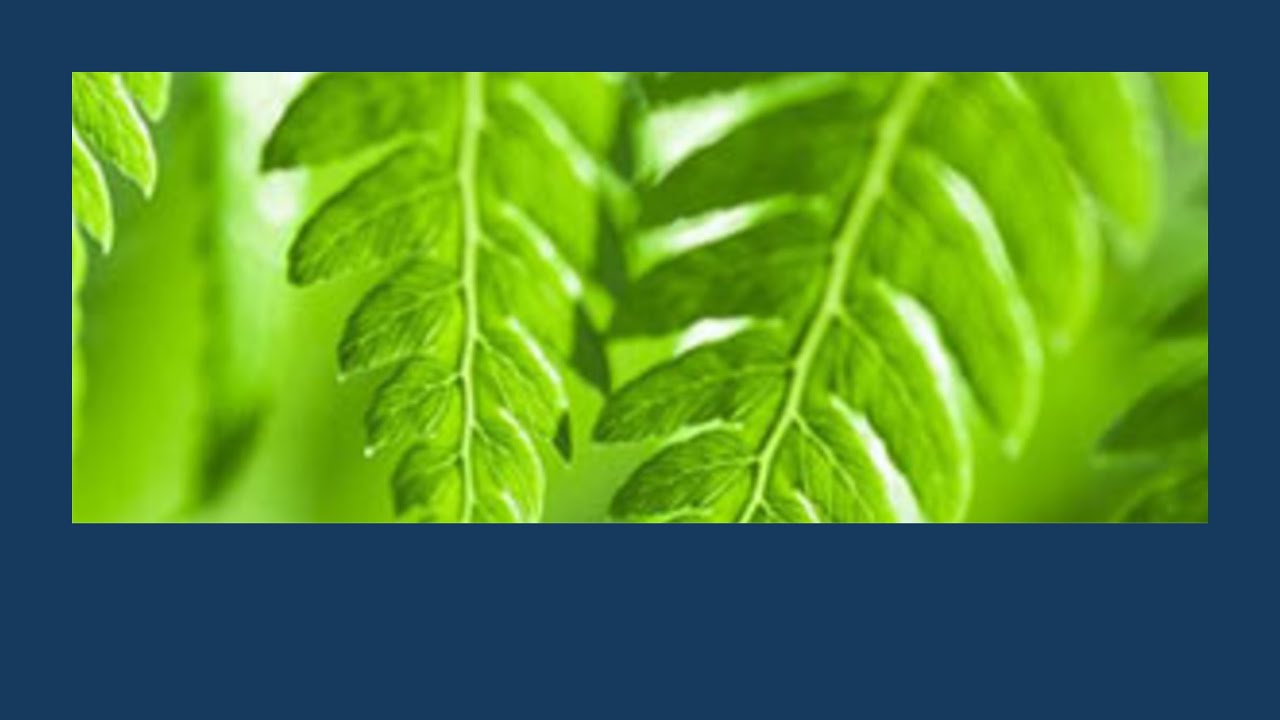 23 Jul 2021 | A new era of industrial facility environmental management | Tony Kortegast