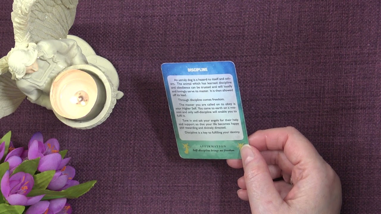 Your Daily Angel Message - A Little Angel Message &mdash; What the Angels Want You to Know Today ✨