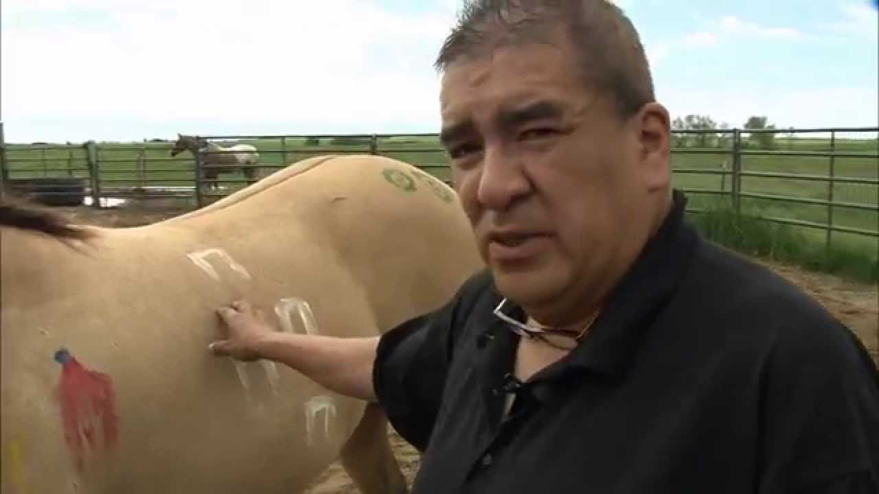 Lakota horse symbols with Steven Tamayo | Dakota Life