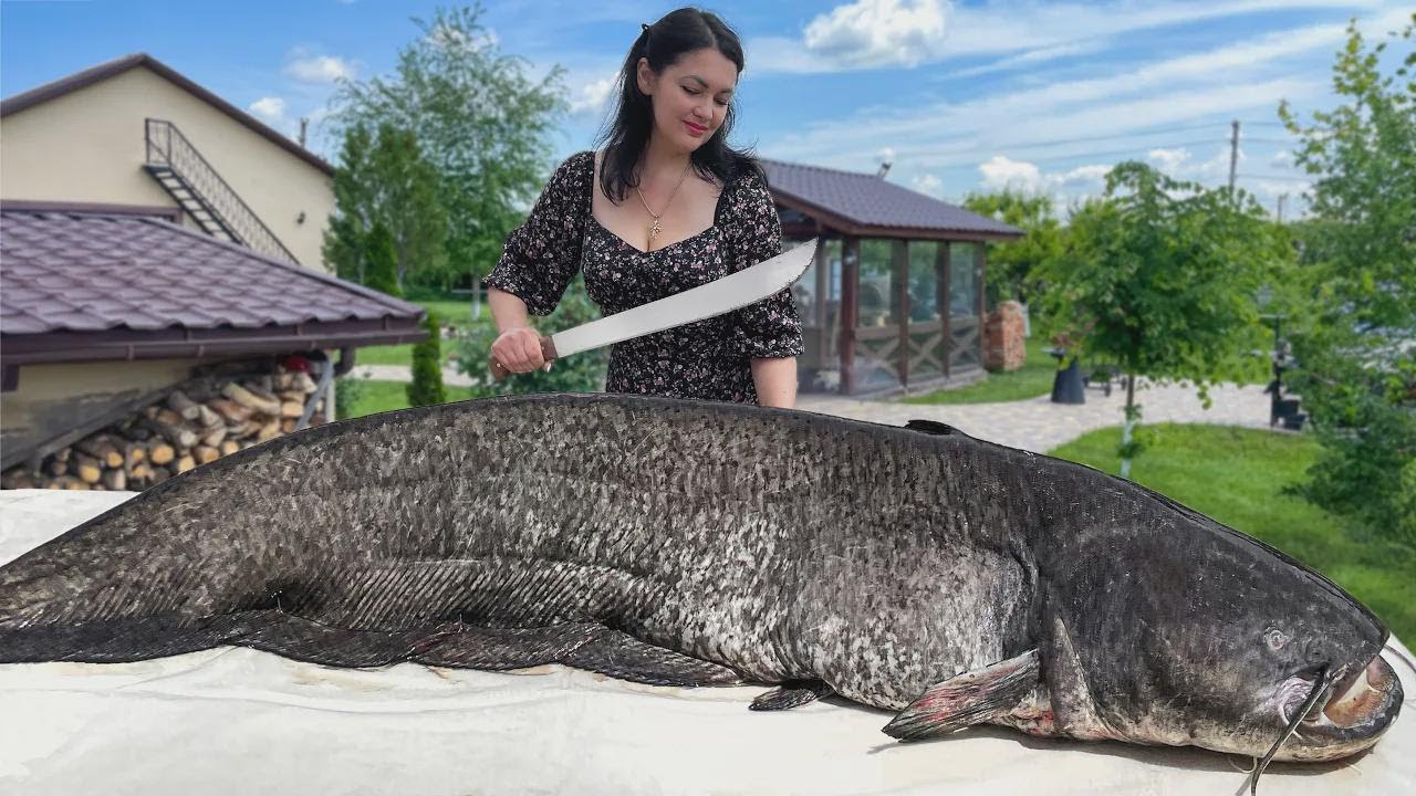 ¡Preparando un Bagre Gigante! Deliciosa Sopa y Cremosa Cazuela de Pescado
