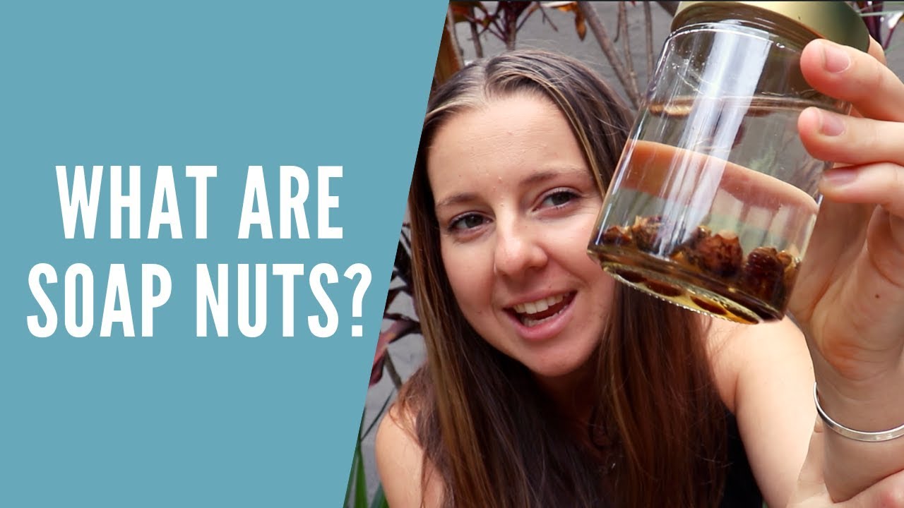 How To Use Laundry Soap Nuts aka Soap Berries