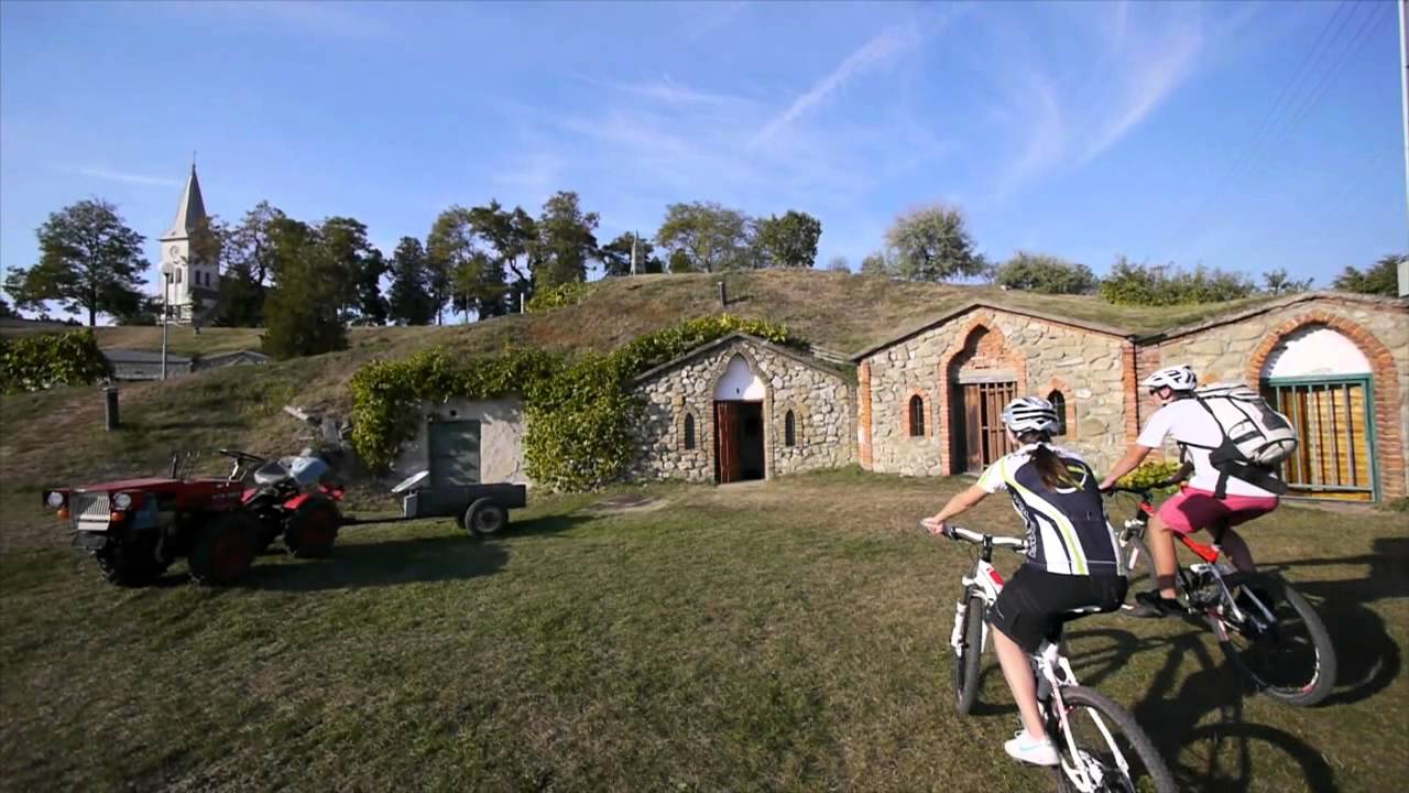 MORAVSKÉ VINAŘSKÉ STEZKY - VELKOPAVLOVICKO