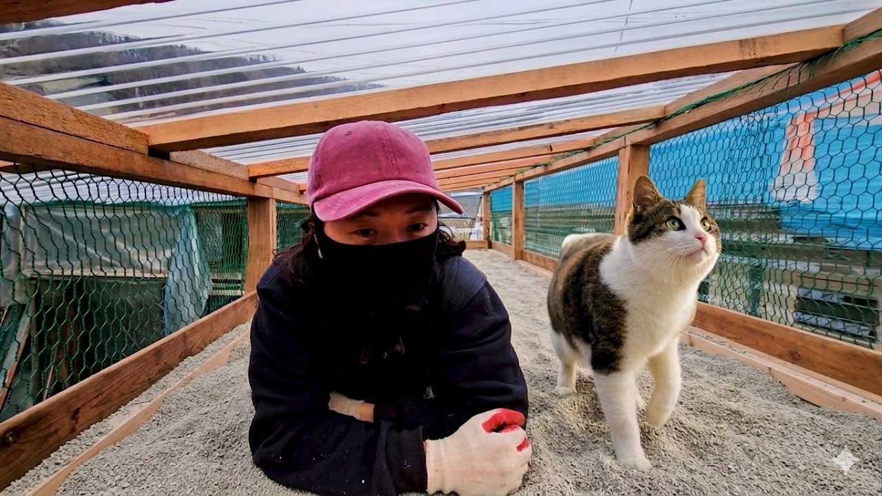 고양이 화장실을 너무 크게 만들어버린 것 같습니다