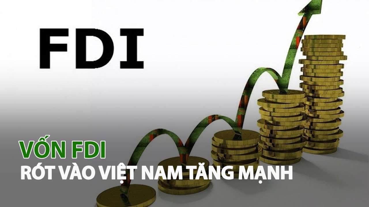 Vốn FDI r&oacute;t v&agrave;o Việt Nam tăng mạnh| VTC14