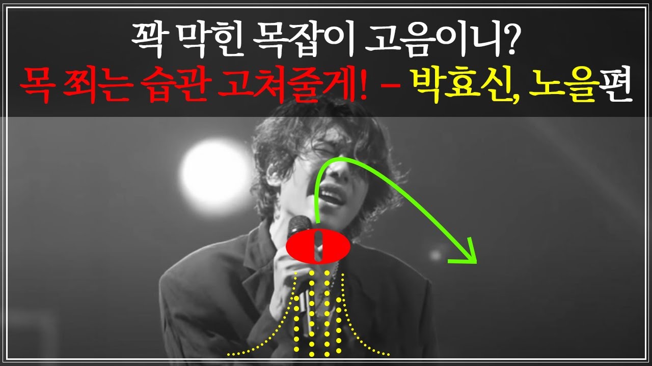 [성대 세팅] 목을 쥐어짜지 않으면서 고음 쭉 올려버리는 비법 - 박효신, 노을 편