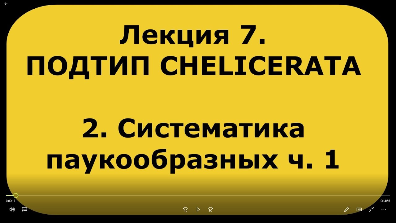 Зоология беспозвоночных. Лекция 7. Подтип  CHELICERATA. Систематика паукообразных ч. 1