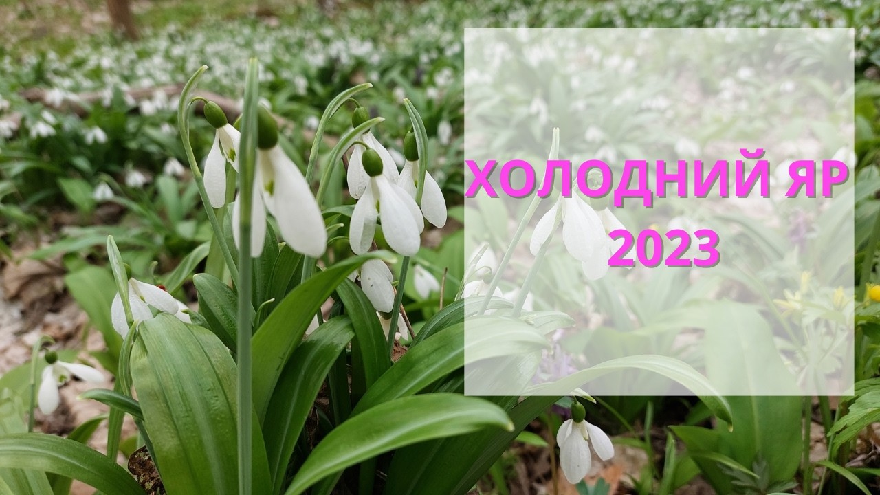 Холодний яр 2023