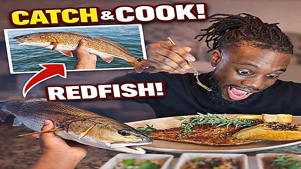 This is the best Catch and Cook video Ft Nubian Cook #catchandcook 
