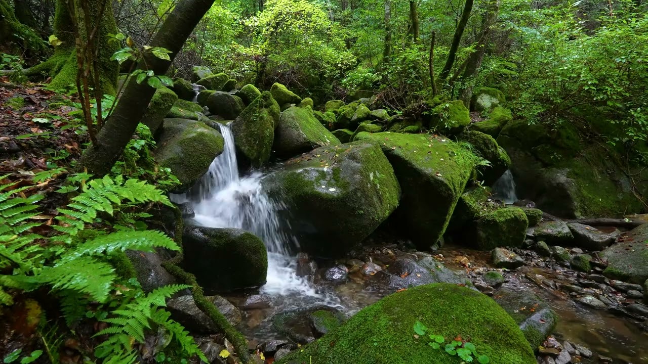 Горные ручьи, щебетание птиц, естественные звуки, способствующие засыпанию